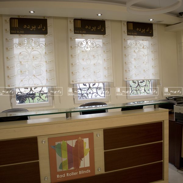 Screen blinds projects 6 600x600